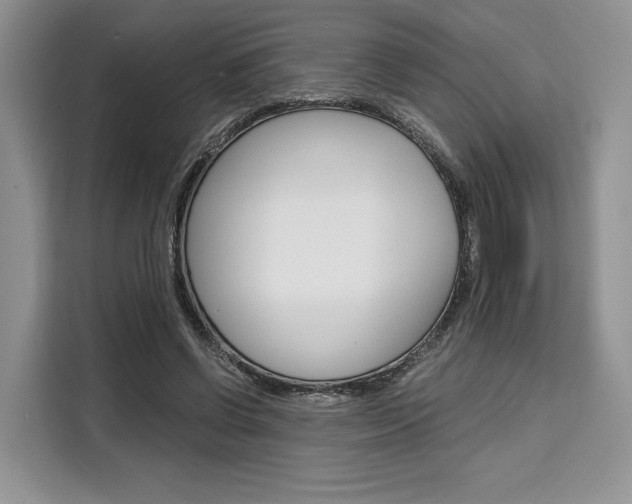 X0000110320542200905211208