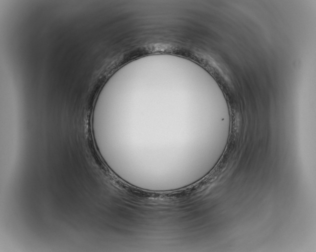 X0000110320545200905211208