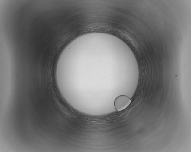 X0000110320546200905211208