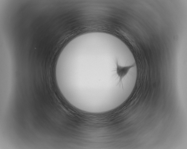 X0000110320548200905211208