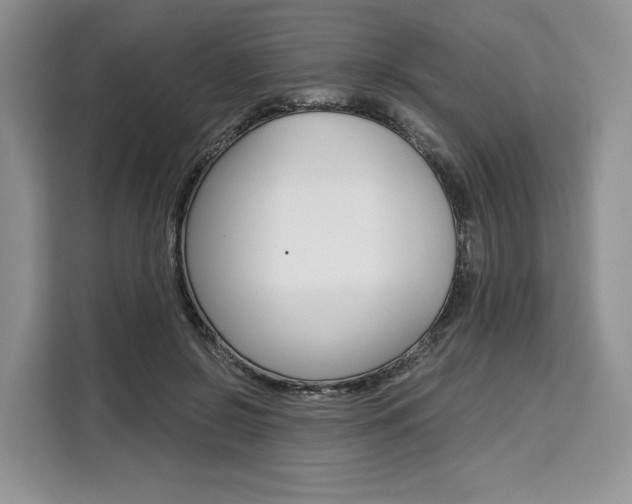 X0000110320550200905211208