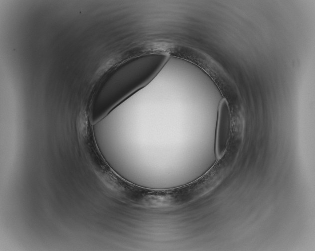 X0000110320552200905211208