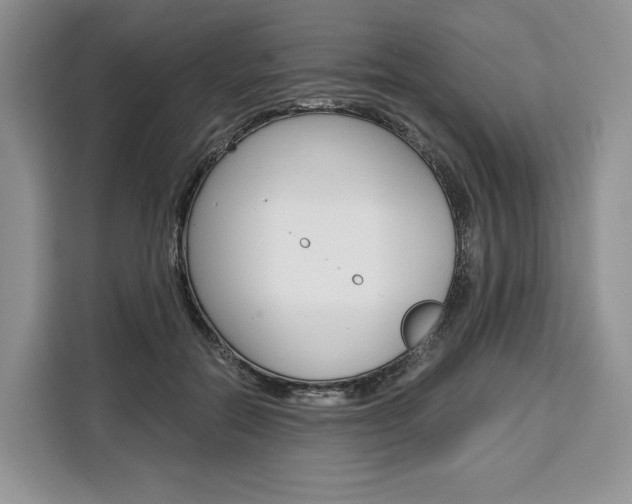X0000110320554200905211208