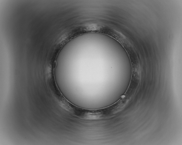 X0000110320556200905211208