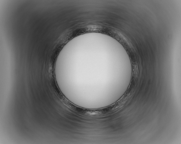 X0000110320557200905211208