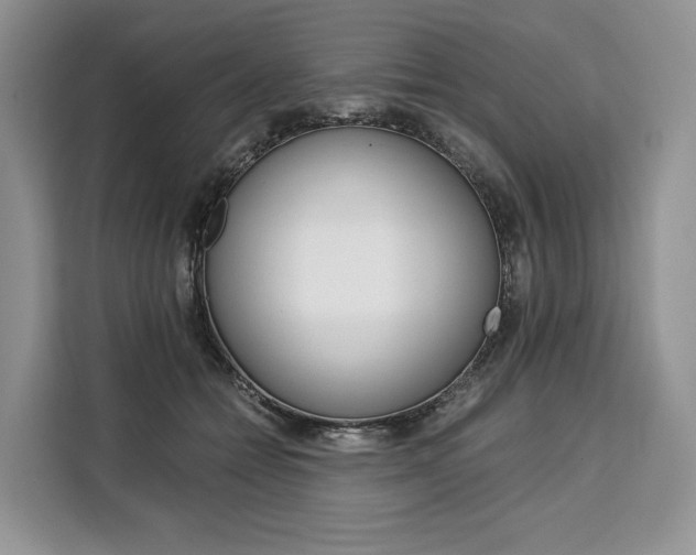 X0000110320558200905211208
