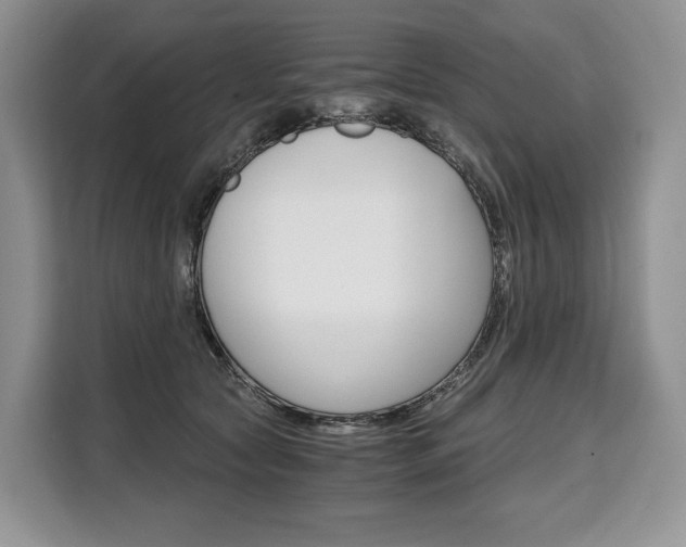 X0000110320561200905211208