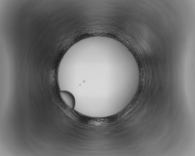 X0000110320563200905211208