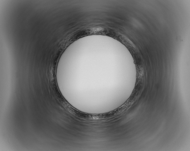 X0000110320565200905211208