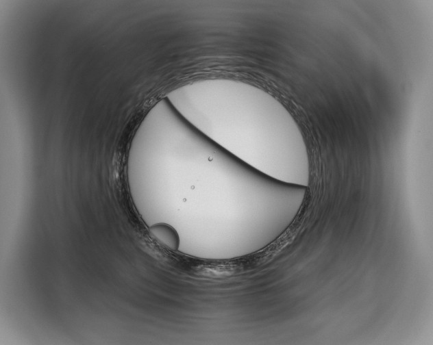 X0000110320567200905211208