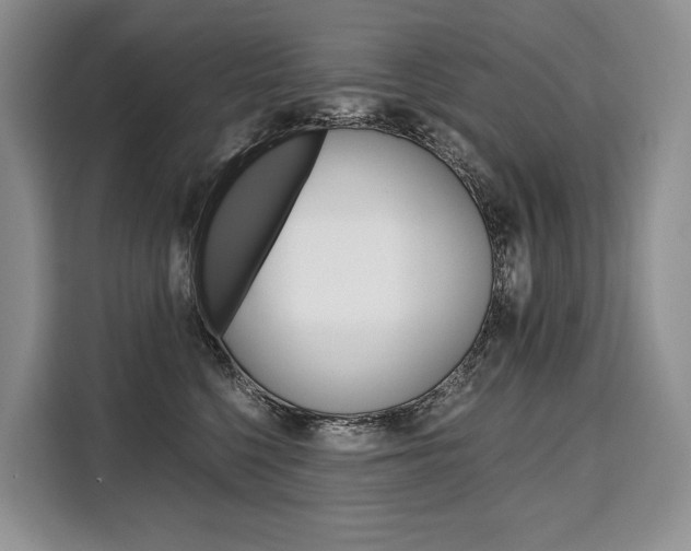 X0000110320568200905211208