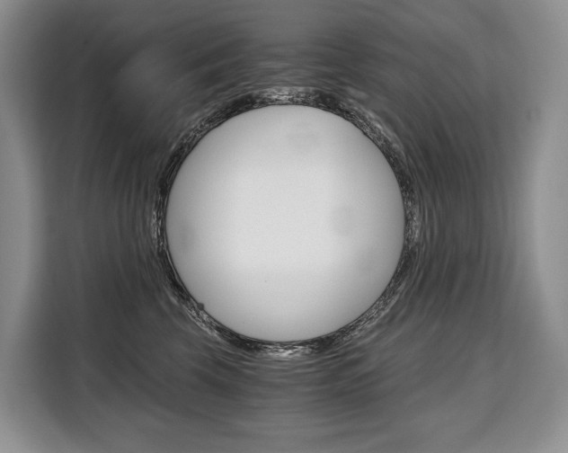 X0000110320569200905211208