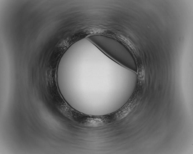 X0000110320572200905211208