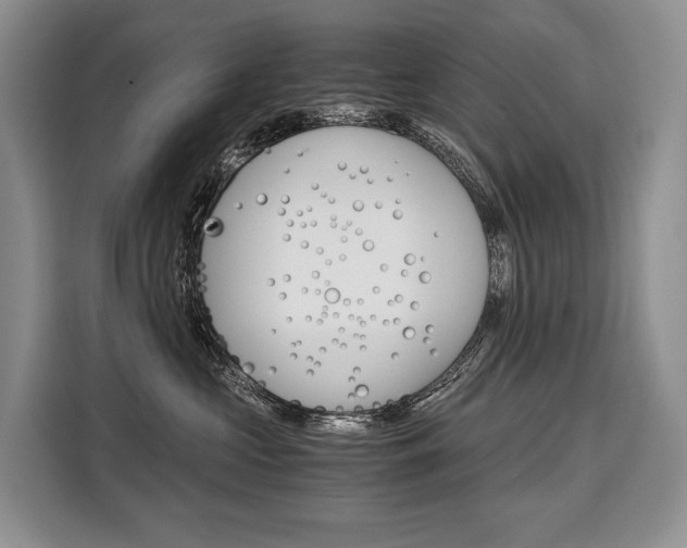 X0000110320573200905211208