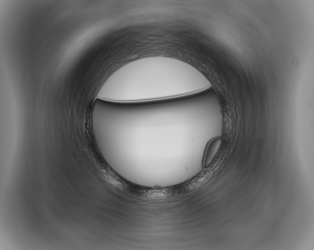 X0000110320574200905211208