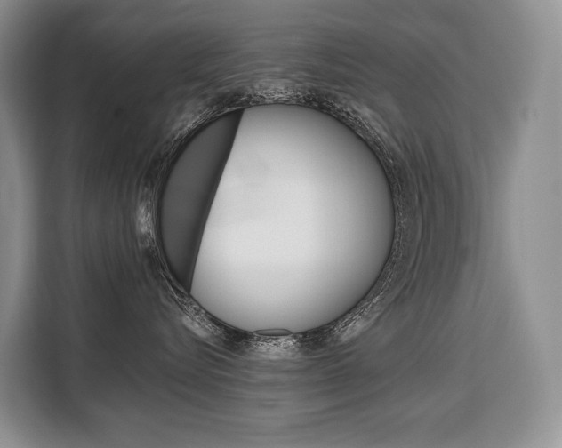 X0000110320576200905211208