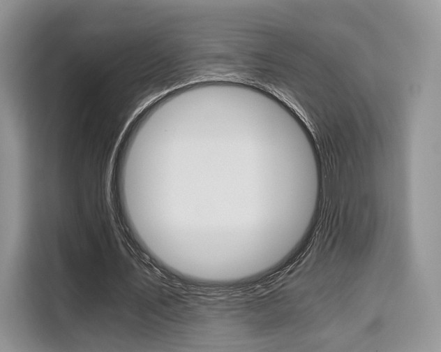 X0000110320579200905211207