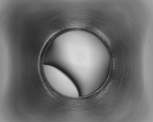 X0000110320580200905211207
