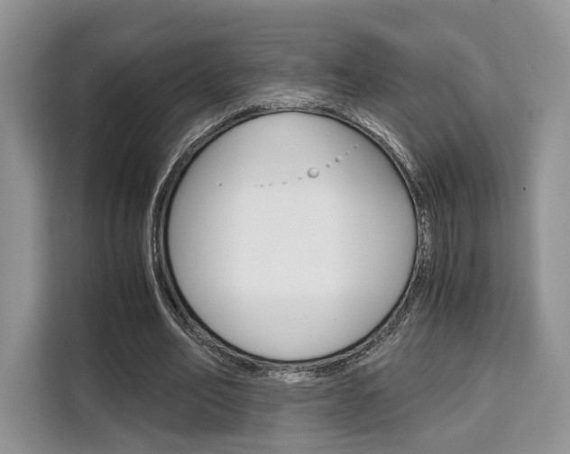 X0000110320582200905211207