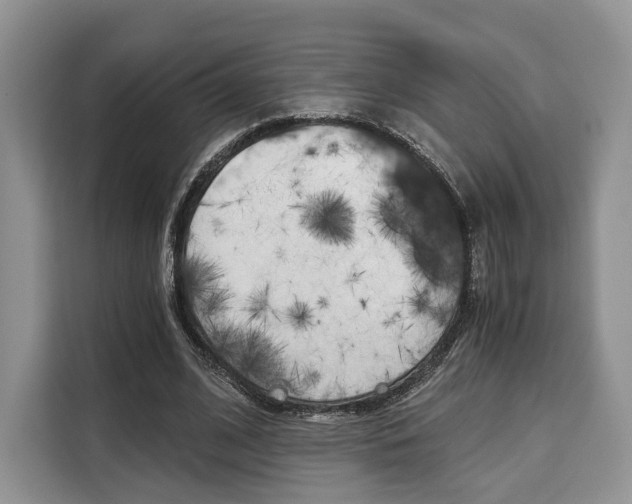 X0000110320584200905211207