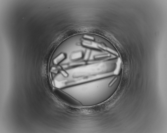 X0000110320585200905211207