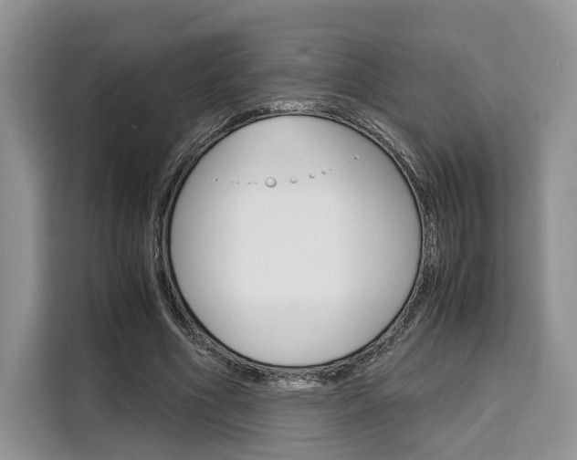 X0000110320586200905211207