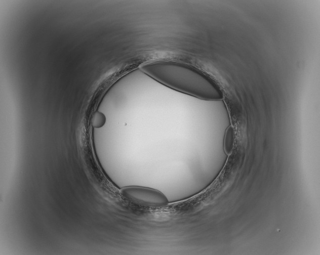 X0000110320587200905211207