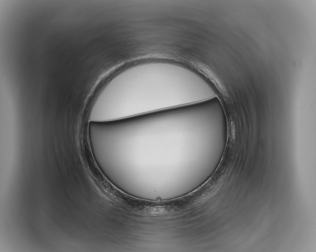 X0000110320588200905211207