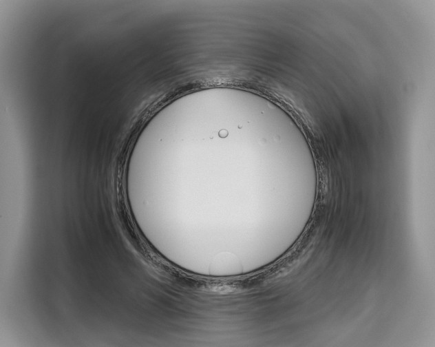 X0000110320590200905211207