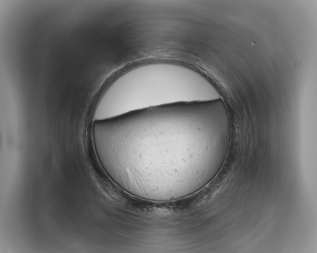 X0000110320592200905211207