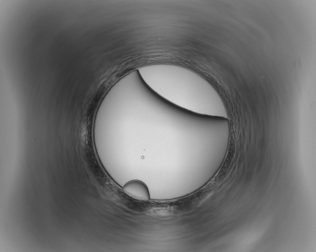 X0000110320595200905211207