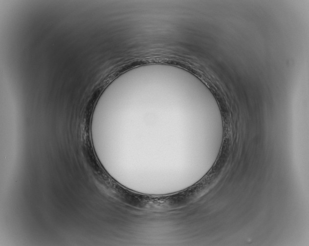 X0000110320599200905211207