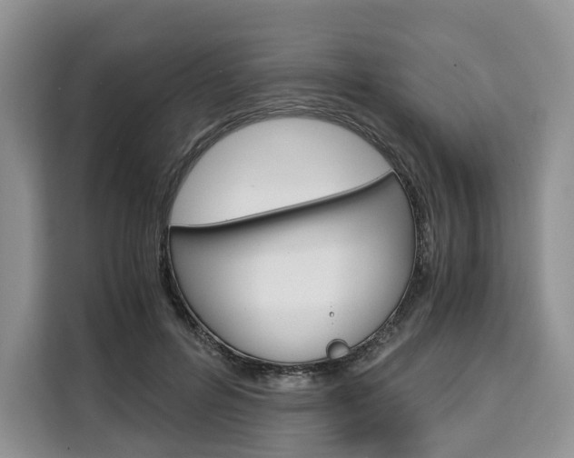 X0000110320600200905211207
