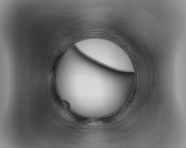 X0000110320601200905211207
