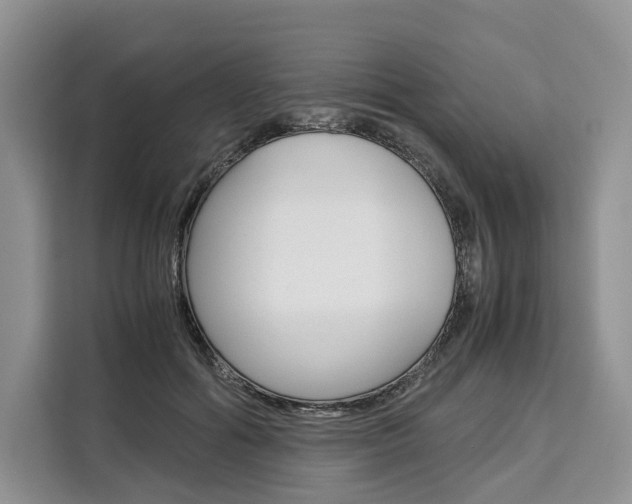 X0000110320602200905211207