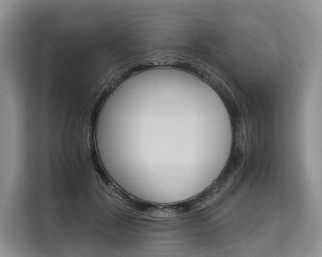 X0000110320604200905211207