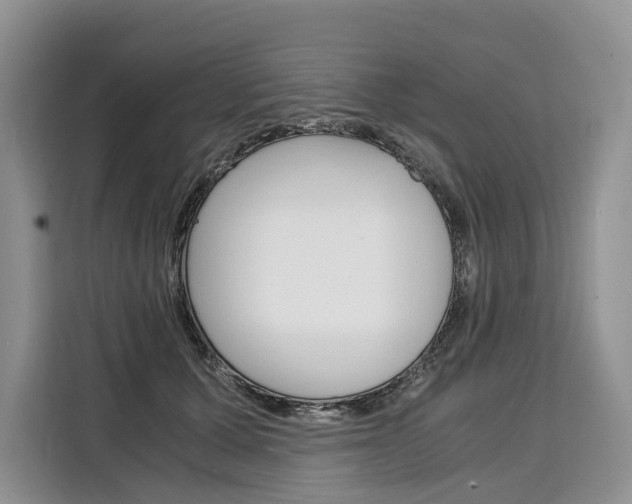 X0000110320607200905211207