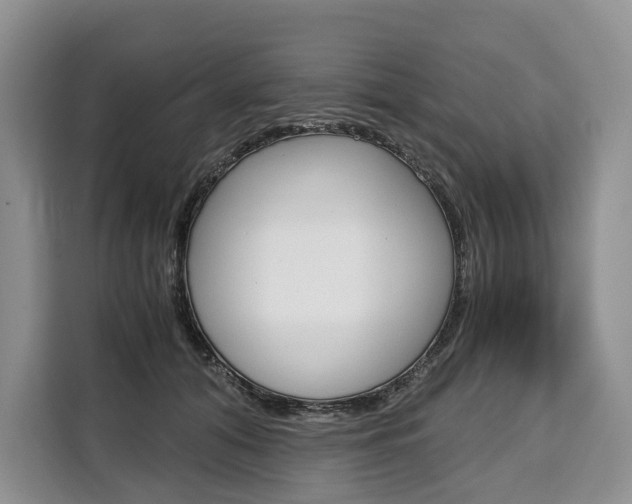 X0000110320608200905211207