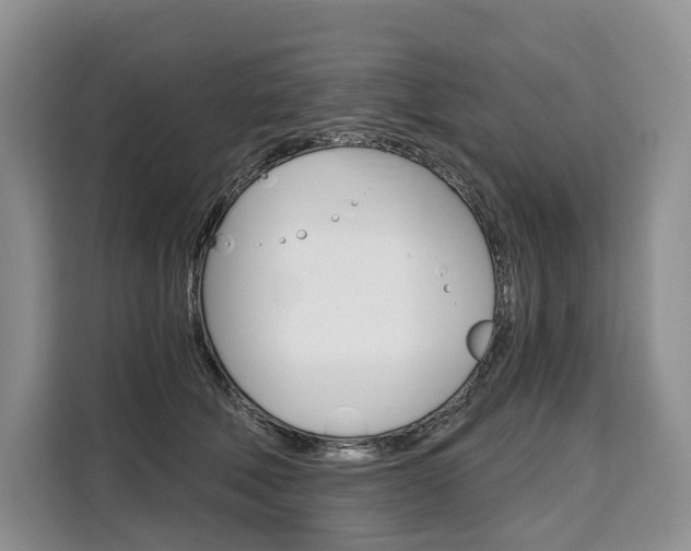 X0000110320610200905211207