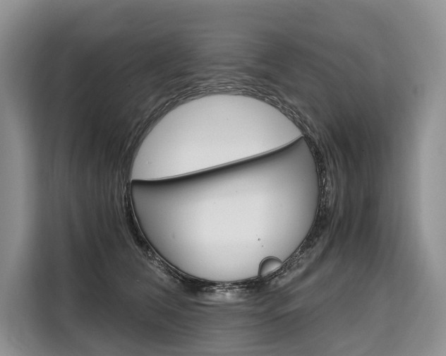 X0000110320612200905211207
