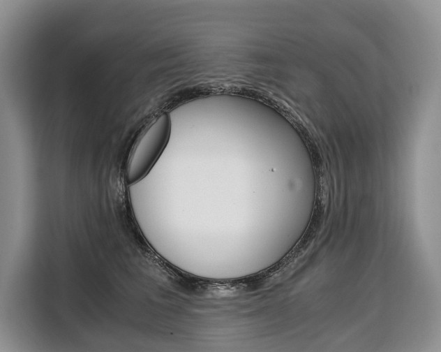 X0000110320613200905211207