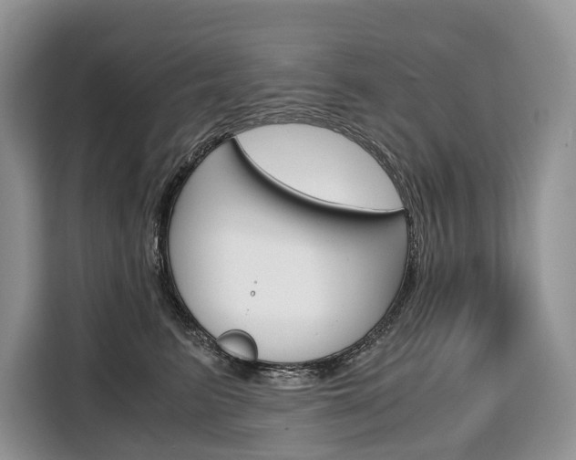 X0000110320615200905211207