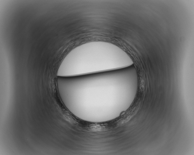 X0000110320616200905211207