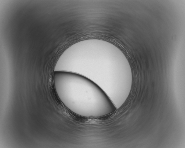 X0000110320617200905211207