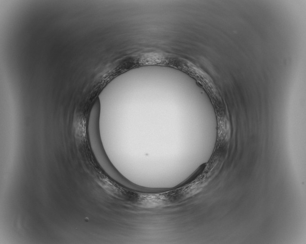 X0000110320621200905211207