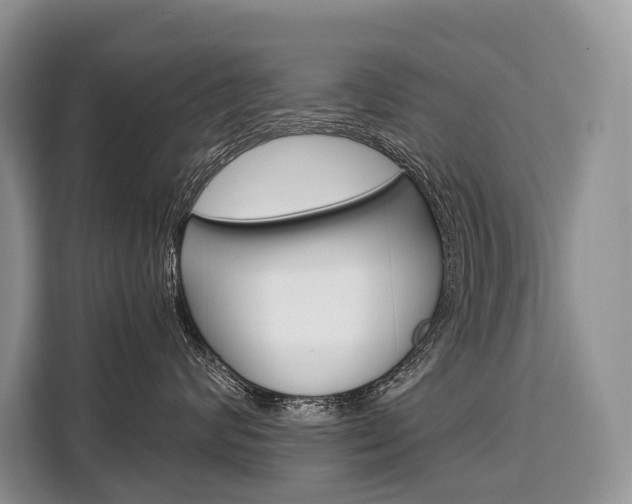 X0000110320624200905211207