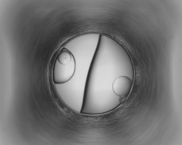 X0000110320626200905211206