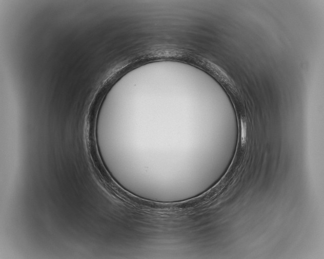X0000110320627200905211206