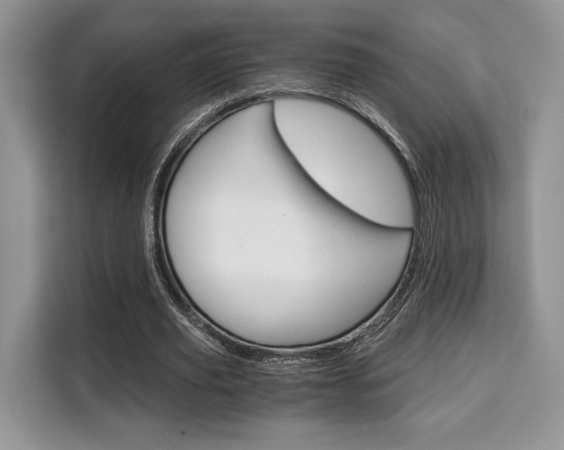X0000110320629200905211206
