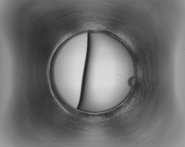 X0000110320630200905211206